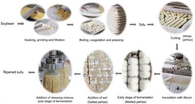 Microbial succession and its effect on the formation of umami peptides during sufu fermentation